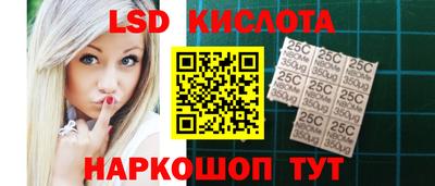 прущие грибы Будённовск