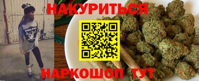 прущие грибы Будённовск