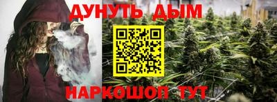 прущие грибы Будённовск