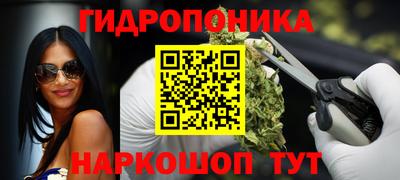 прущие грибы Будённовск